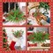 13PCS Artificial Norfolk Pine Branches with 5PCS Red Berry Stems (B Style-18pcs) 16.9"D x 5.3"W x 3.7"H